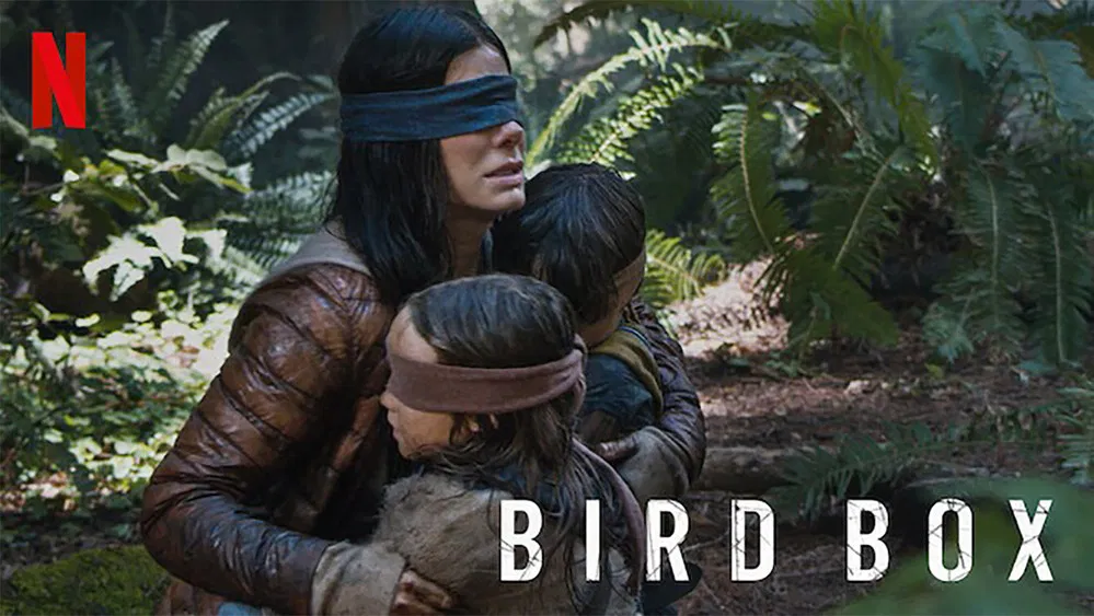Bird Box